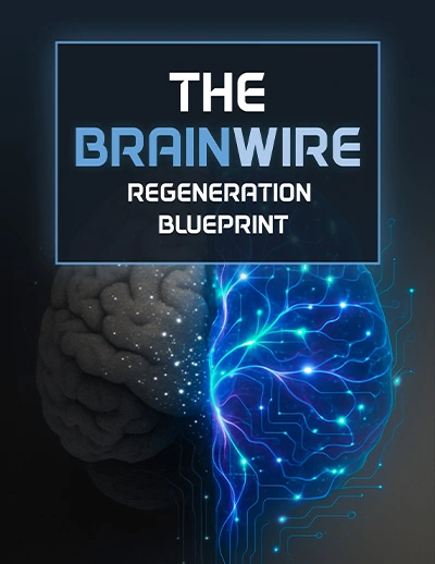 Audifort free bonus Brainwire Regeneration Blueprint guide