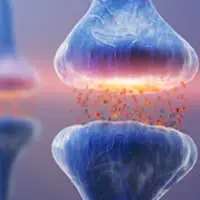 Audifort GABA ingredient for calming tinnitus and mental clarity