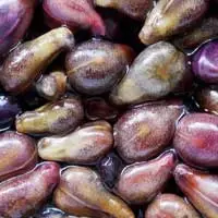 Audifort Grape Seed Extract ingredient for antioxidant hearing support
