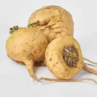 Audifort Maca Root ingredient for energy and circulation support